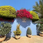181 Jardines De Дения